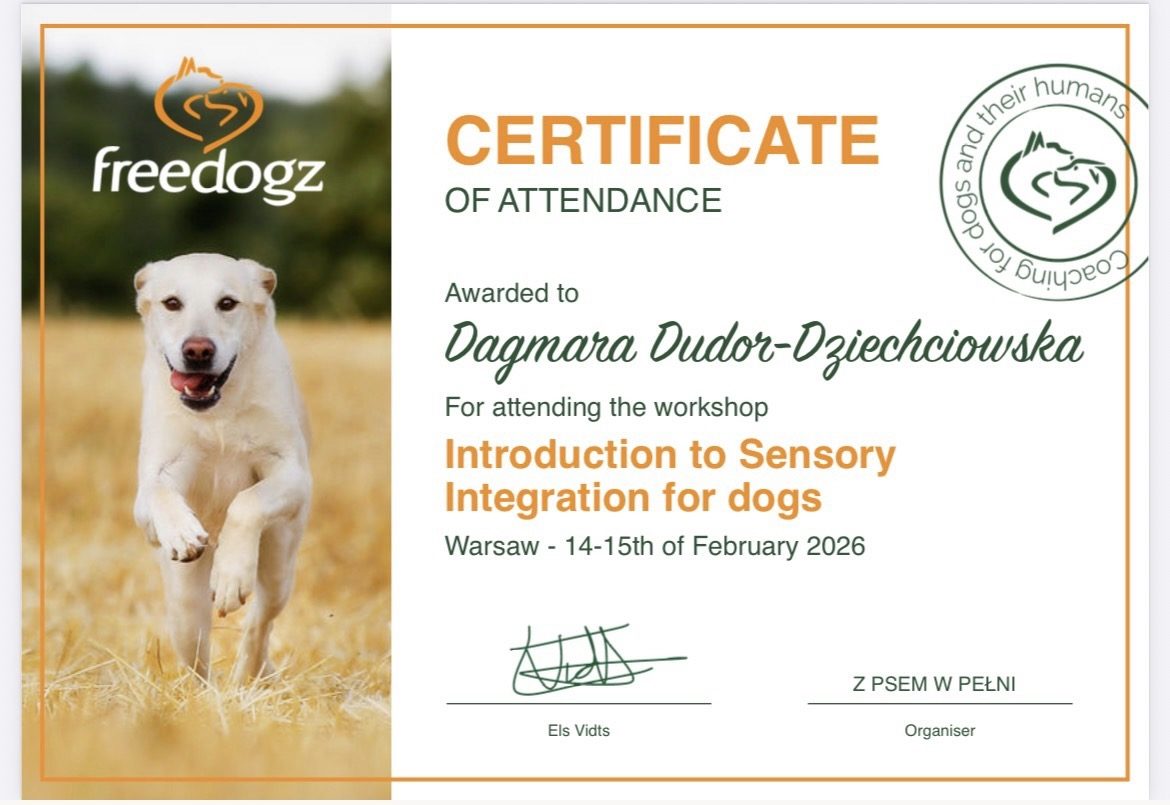 Introduction to Sensory Integration for dogs